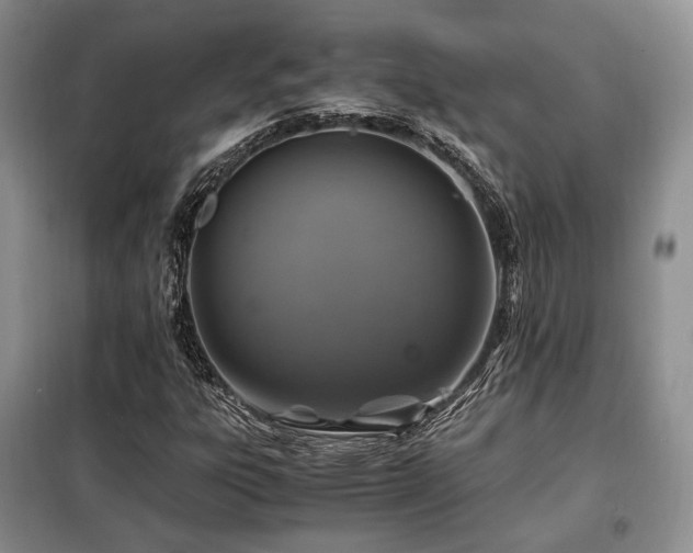 X0000099291303200805021222