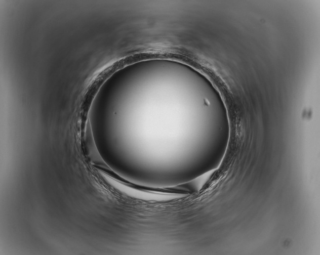 X0000099291304200805021222