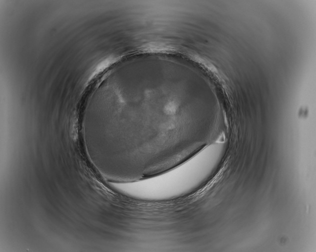 X0000099291306200805021222