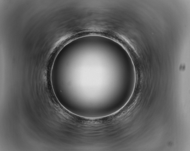 X0000099291307200805021222