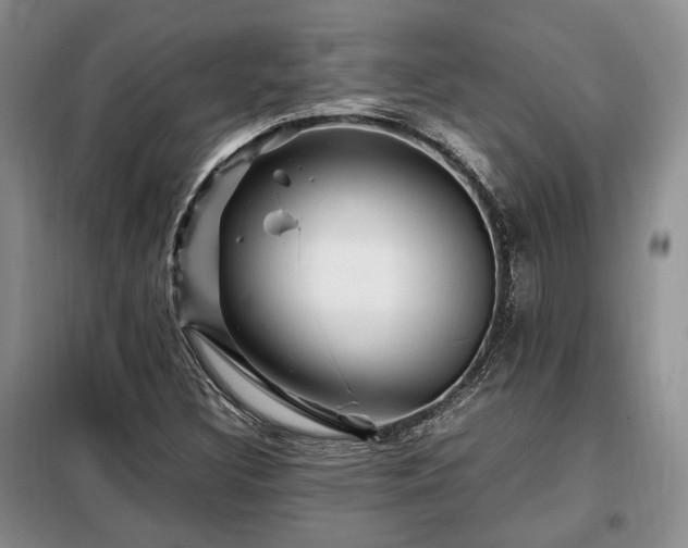 X0000099291308200805021222