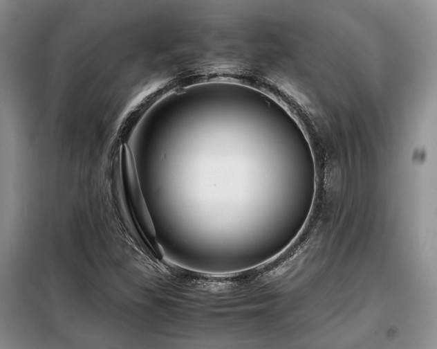 X0000099291309200805021222