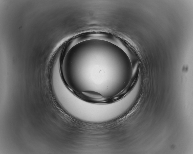 X0000099291310200805021222