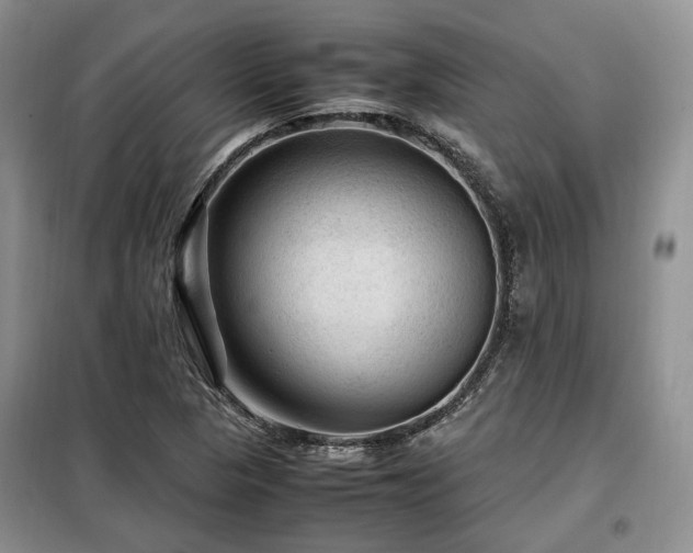 X0000099291313200805021222