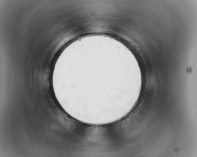 X0000099291314200805021222