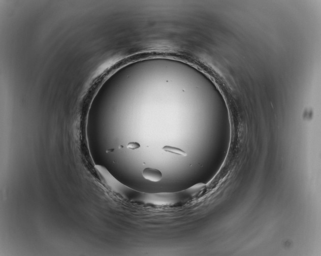 X0000099291315200805021222