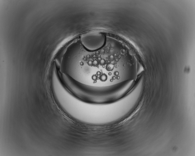 X0000099291317200805021222