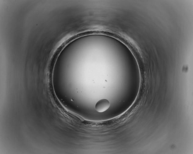 X0000099291318200805021222