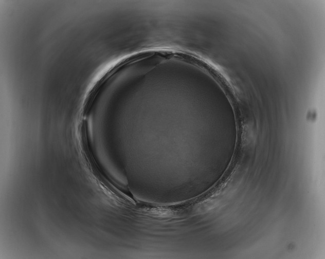 X0000099291319200805021222