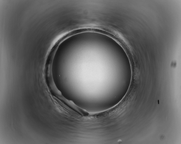 X0000099291320200805021222