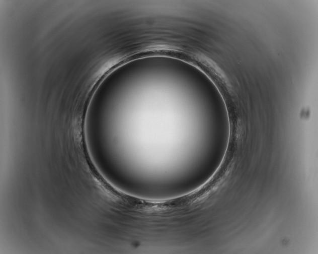 X0000099291321200805021222
