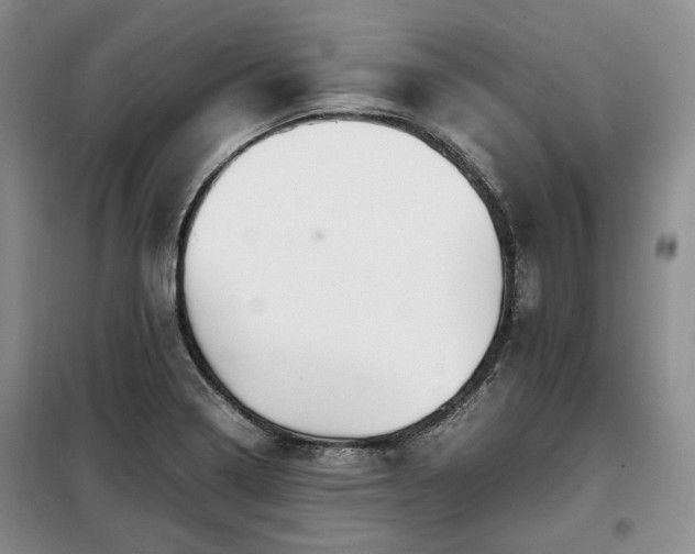 X0000099291322200805021222