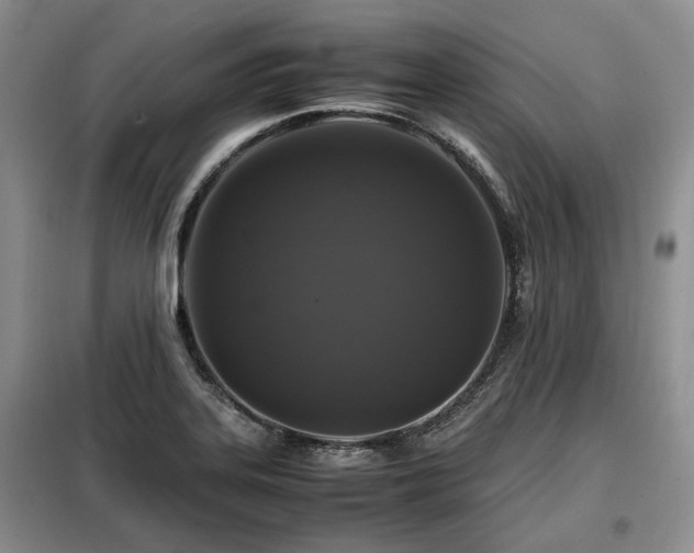 X0000099291323200805021222