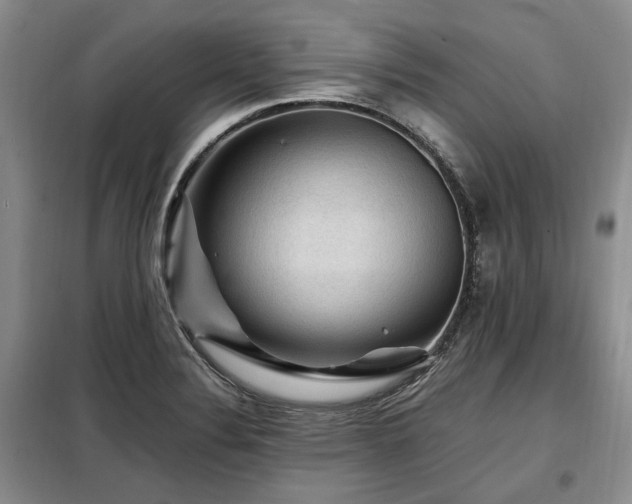 X0000099291324200805021222