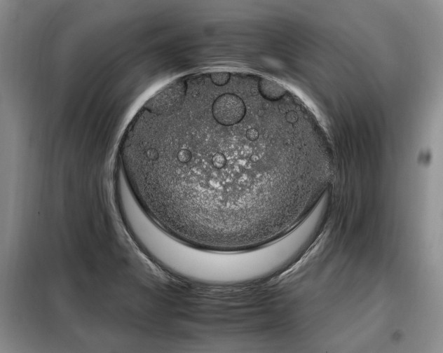X0000099291325200805021222