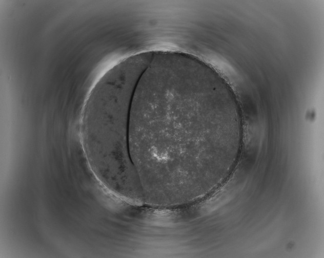 X0000099291326200805021222