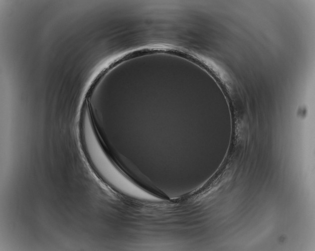 X0000099291327200805021222