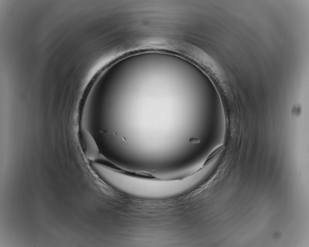 X0000099291328200805021222