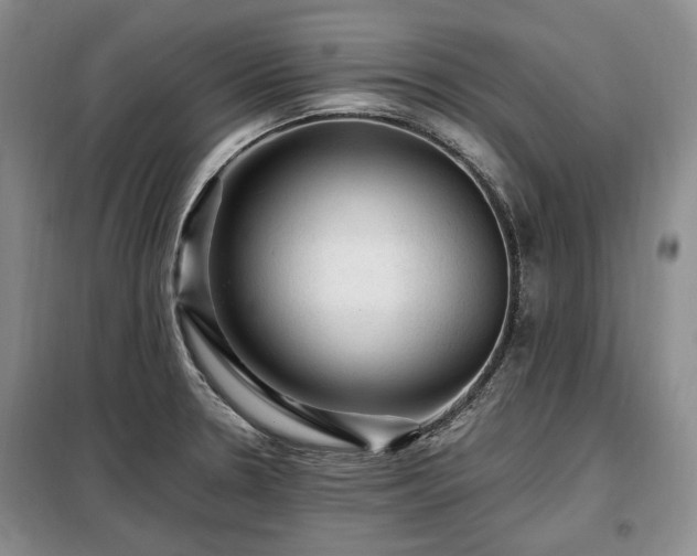 X0000099291330200805021222