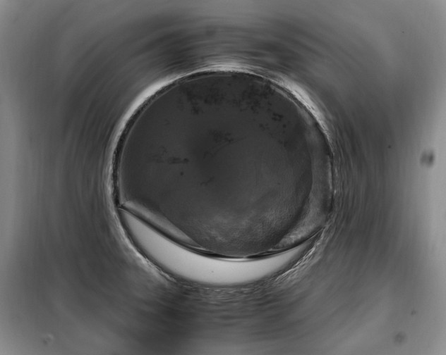 X0000099291331200805021222