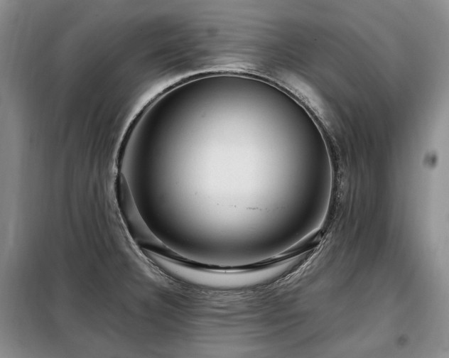 X0000099291332200805021222