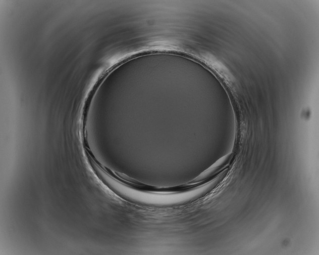 X0000099291334200805021222