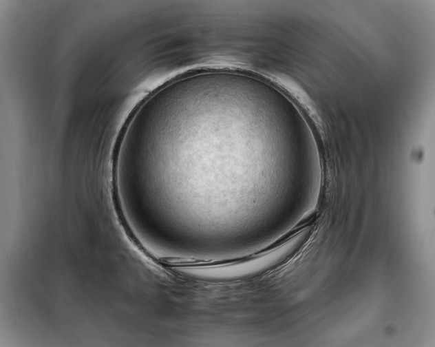 X0000099291335200805021222
