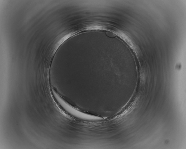 X0000099291337200805021222