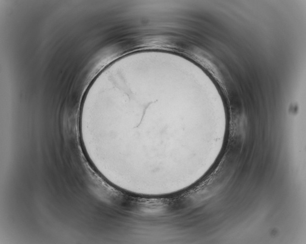 X0000099291338200805021222