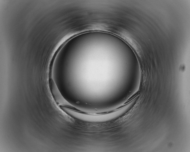 X0000099291339200805021222