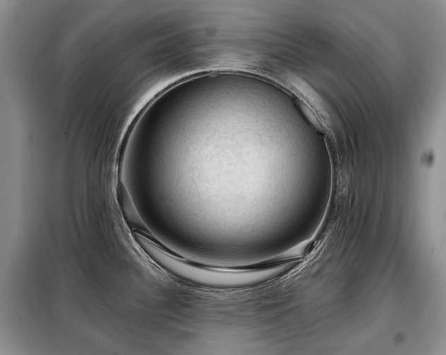 X0000099291340200805021222