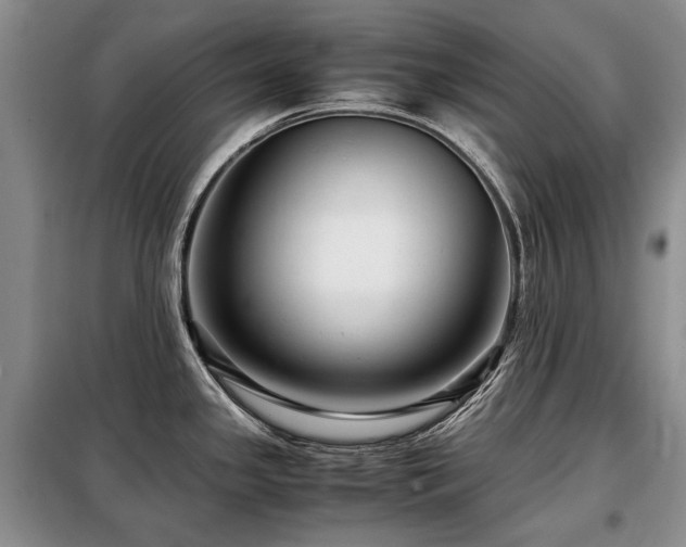 X0000099291341200805021223
