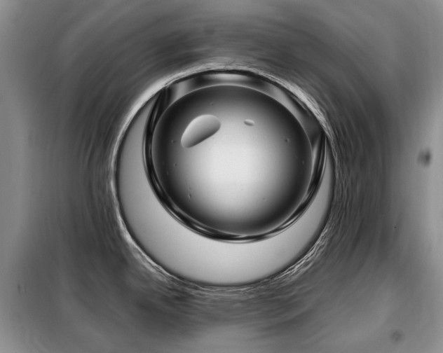 X0000099291342200805021223