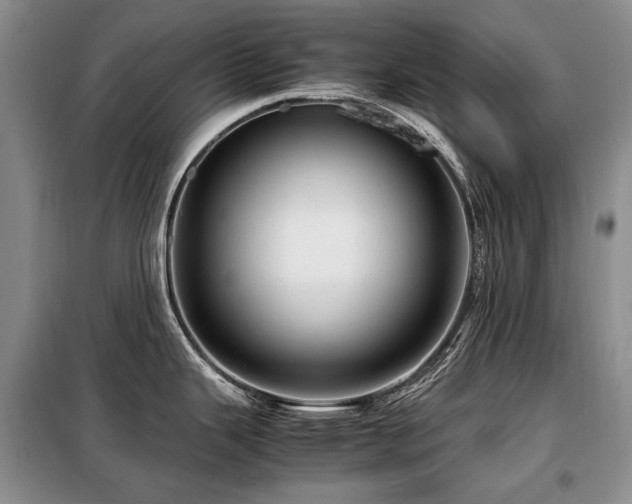 X0000099291343200805021223