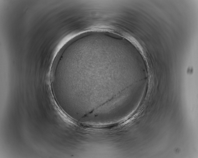 X0000099291344200805021223
