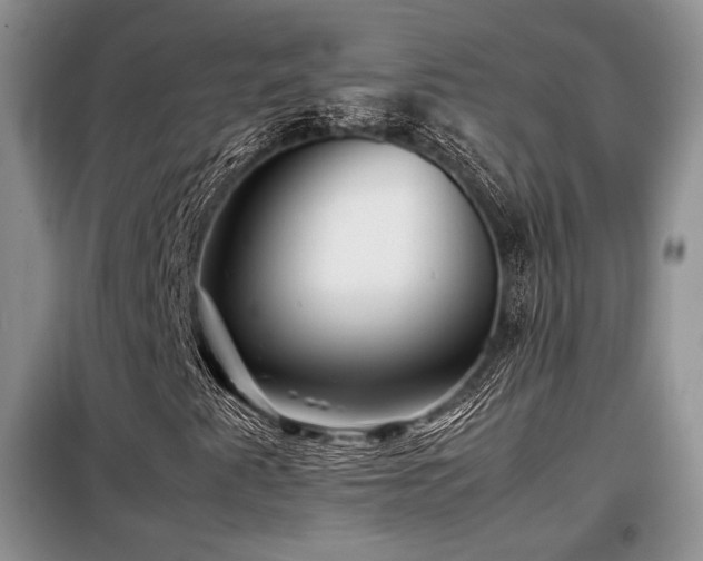 X0000099291345200805021222