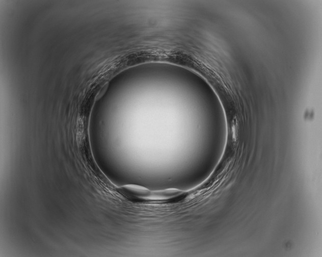 X0000099291347200805021222
