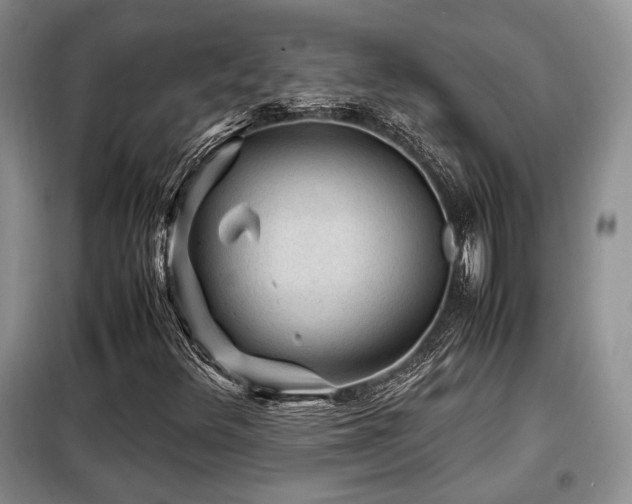X0000099291348200805021222