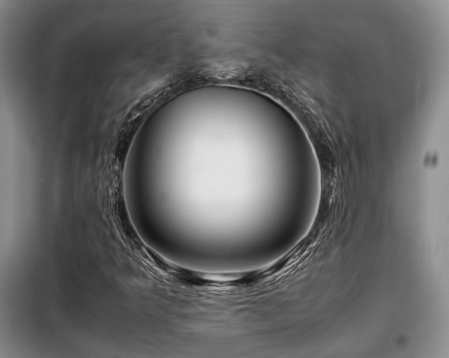 X0000099291349200805021222