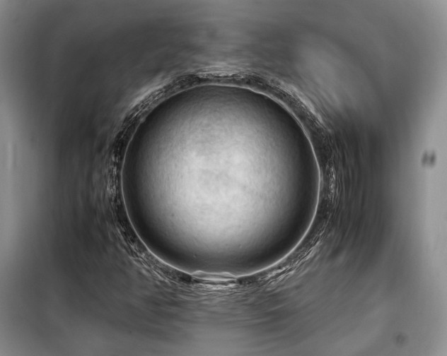 X0000099291350200805021222