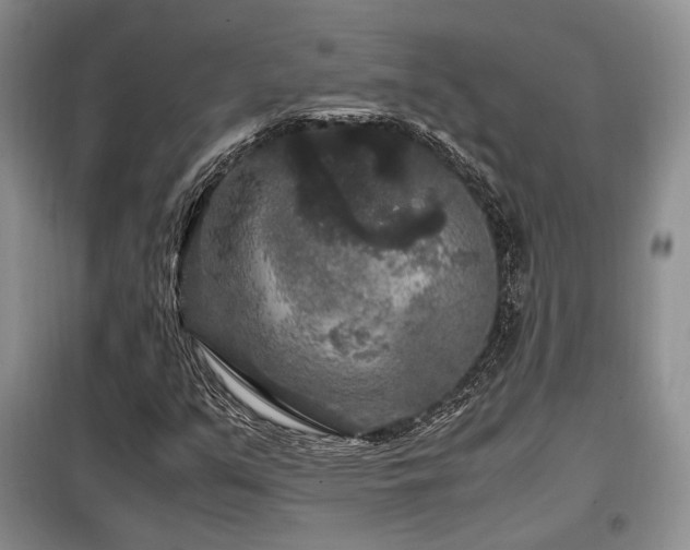X0000099291351200805021222