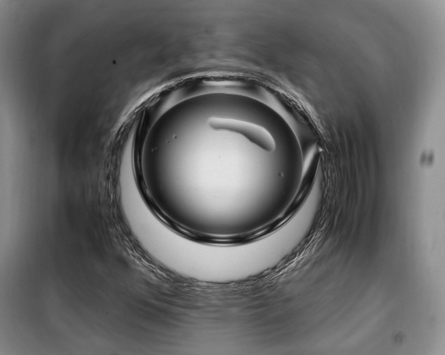 X0000099291352200805021222