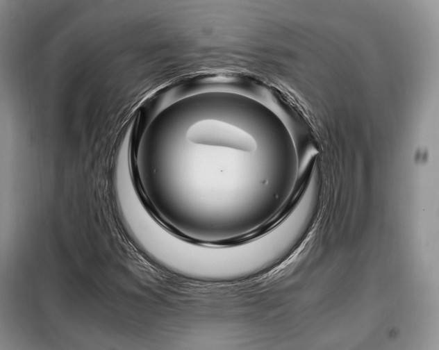 X0000099291353200805021222
