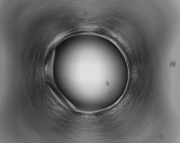 X0000099291354200805021222