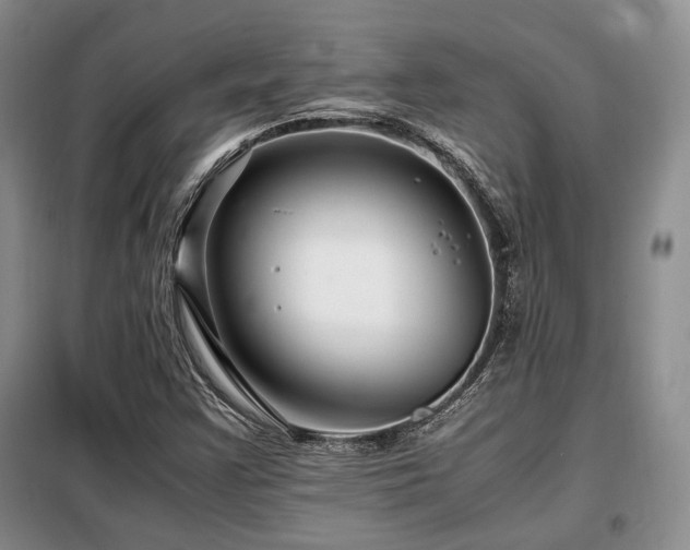 X0000099291355200805021222