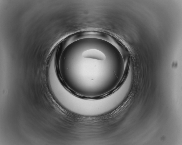 X0000099291356200805021222