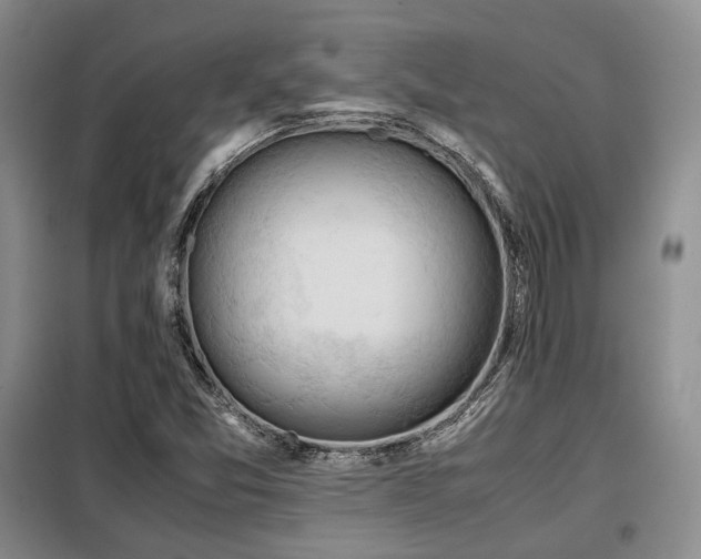 X0000099291357200805021222