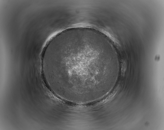 X0000099291358200805021222