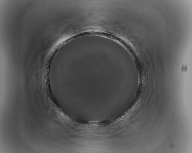 X0000099291359200805021222