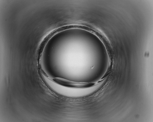 X0000099291360200805021222